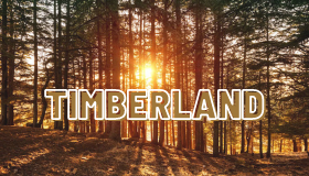 timberland reit